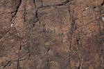 A rough rock texture background