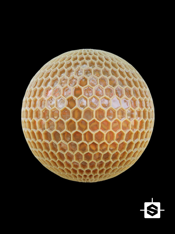 honeycomb honey bee bees hive beehive organic food