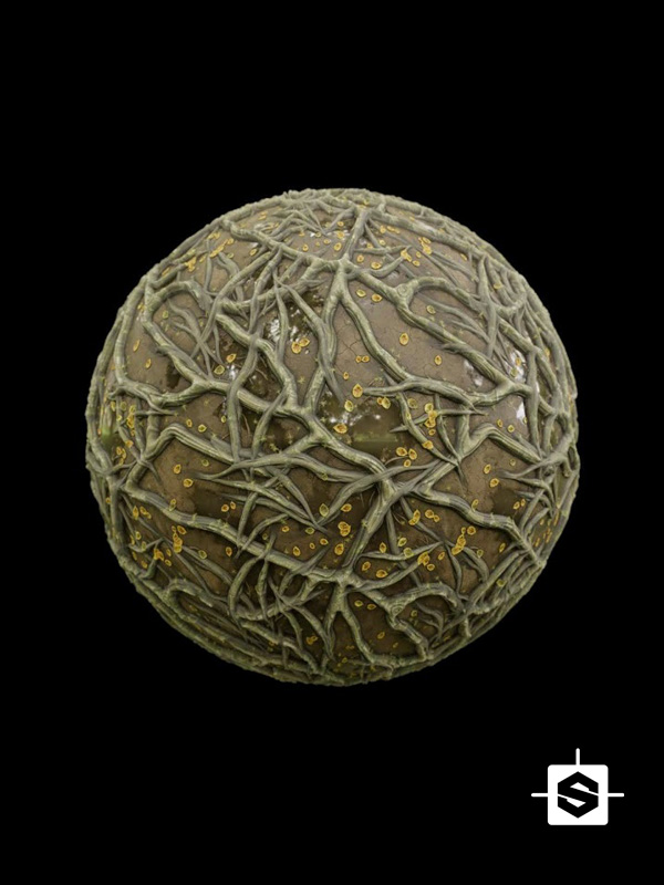 jungle floor leaves dead roots water puddles mud dirt