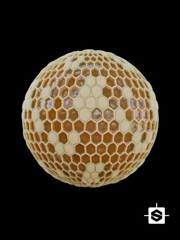 bee bees honey honeycomb wax organic