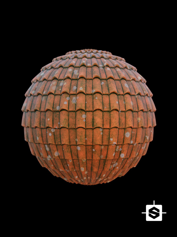 roof tiles terracotta old moss lichen