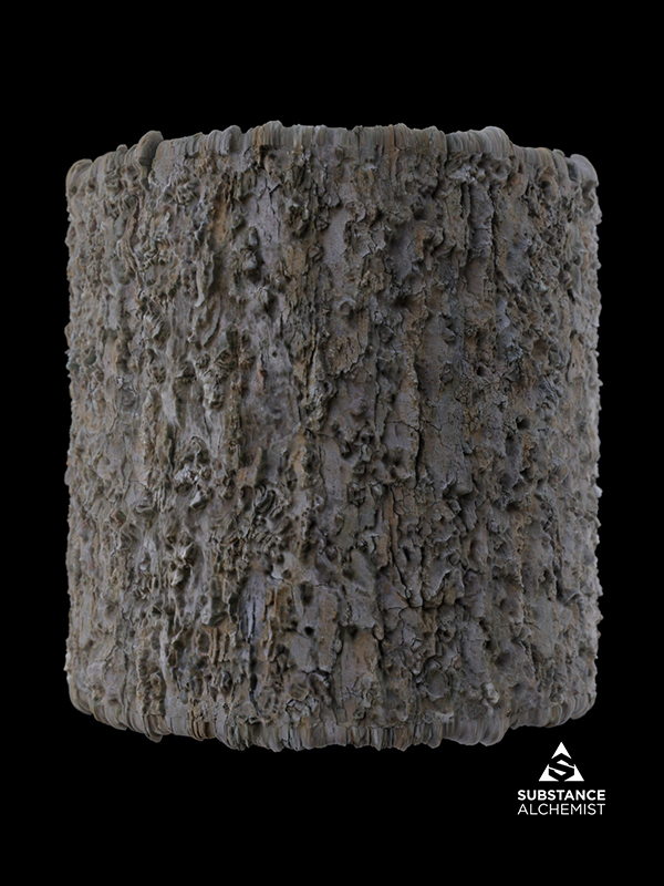 bark tree wood organic vegetable