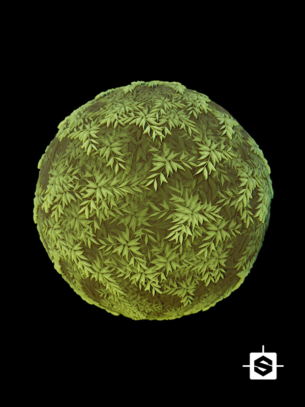 stylized leaves leaf handpainted