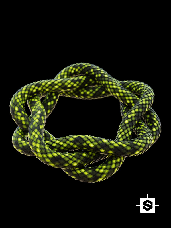 stylized scales snake lizard reptile