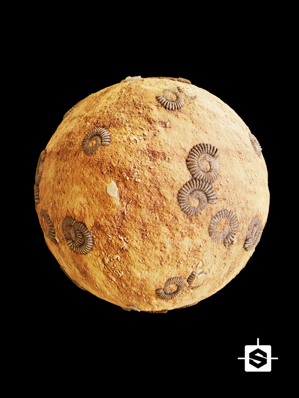 sandstone fossils ground dirt