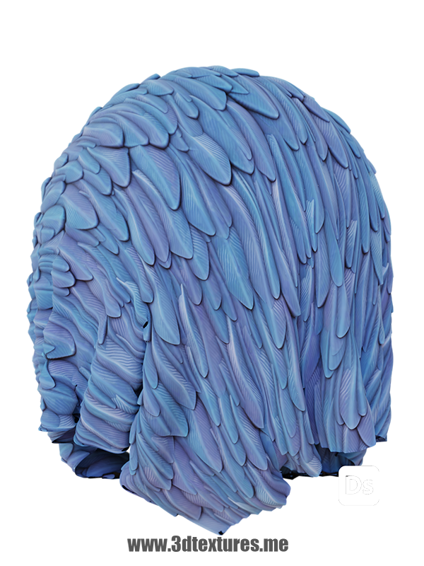 stylized feathers cartoon